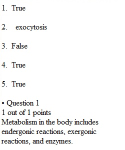 Chapter 5 Quiz